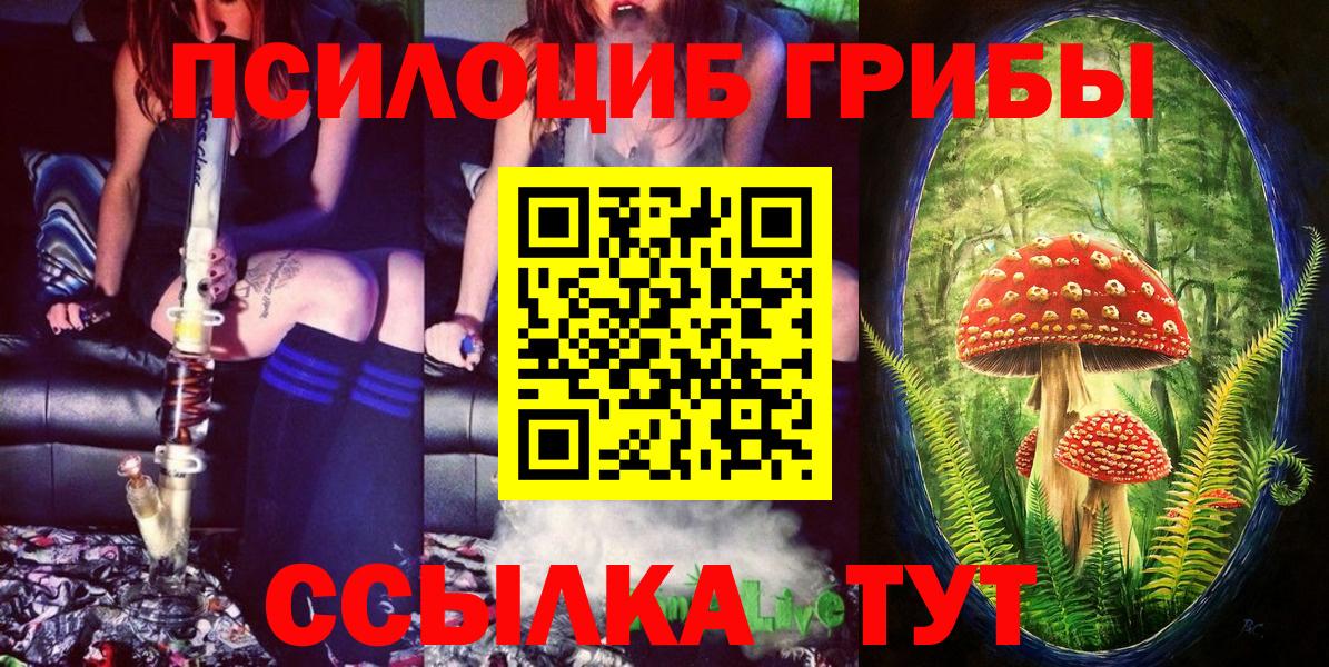 Галлюциногенные грибы GOLDEN TEACHER Печора